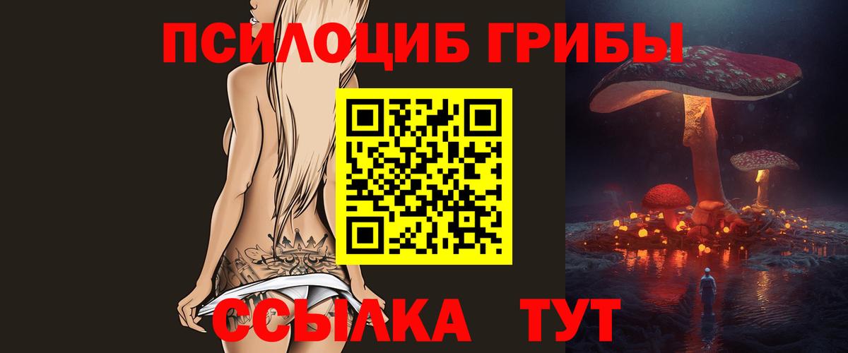 как найти наркотики  Псилоцибиновые грибы Psilocybe  Вход с VPN  Вязьма 